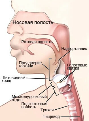 First signs of throat cancer, diagnosis and treatment