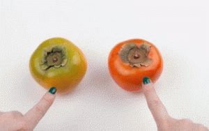 Persimmon til gastritis: er det muligt at spise med høj surhedsgrad