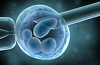 IVF with azoospermia