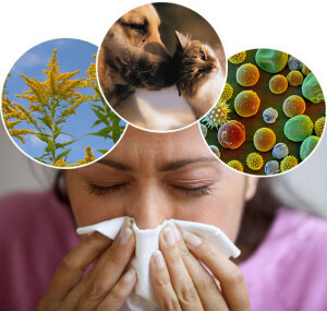 What are the causes of allergic rhinitis