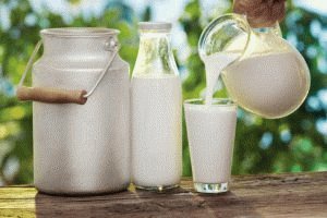 Verse melk