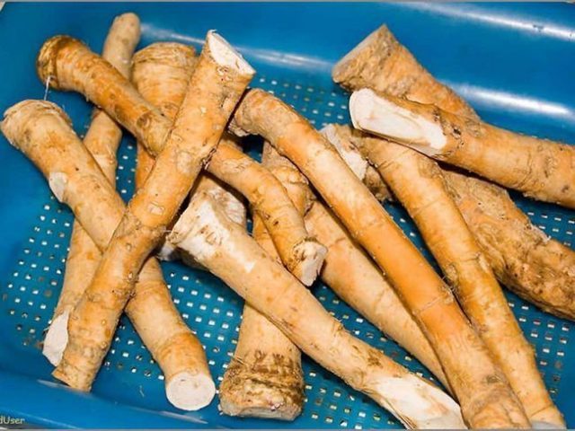 Excellent taste and Properties of horseradish useful for men
