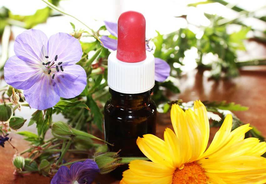 Kuinka tehokas on homeopatiaa syyliä ja miten sitä hoidetaan?