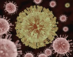 Virus en el cuerpo humano.