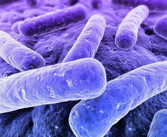 Isoniazid kämpft aktiv die TB Keime aus