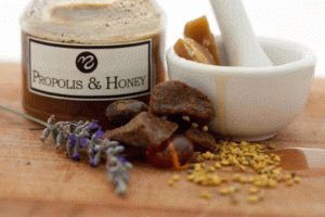 Het gebruik van propolis voor zweren