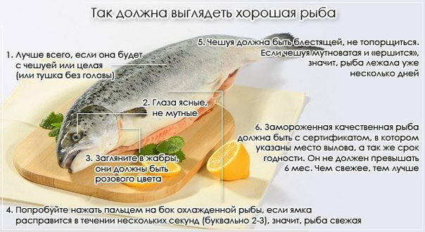 Poisoning by fish: symptoms and treatment