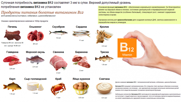 Functies van vitamine B12