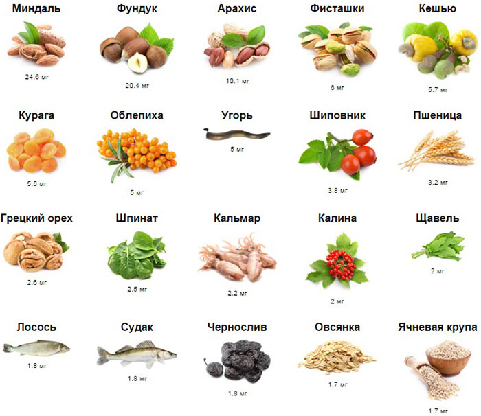 Vitamin E v potravinách