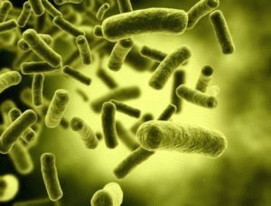 Preparaciones para disbiosis: tabletas, medicamentos y supositorios.