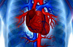 kardiomyopati