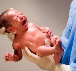 פגיעה בלידה בראש תינוקות