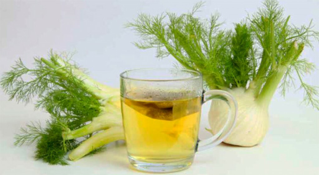 Fennel: benefit and harm