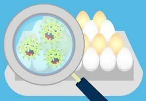 Salmonellen auf eine Eierschale zeichnen