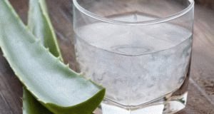 Aloe til mavesår: en traditionel behandlingsmetode