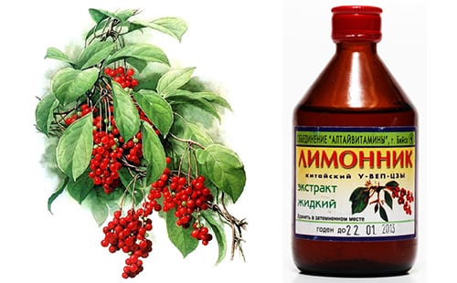 nastojka-limonnika-duo