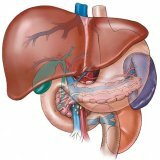 Chronic liver disease