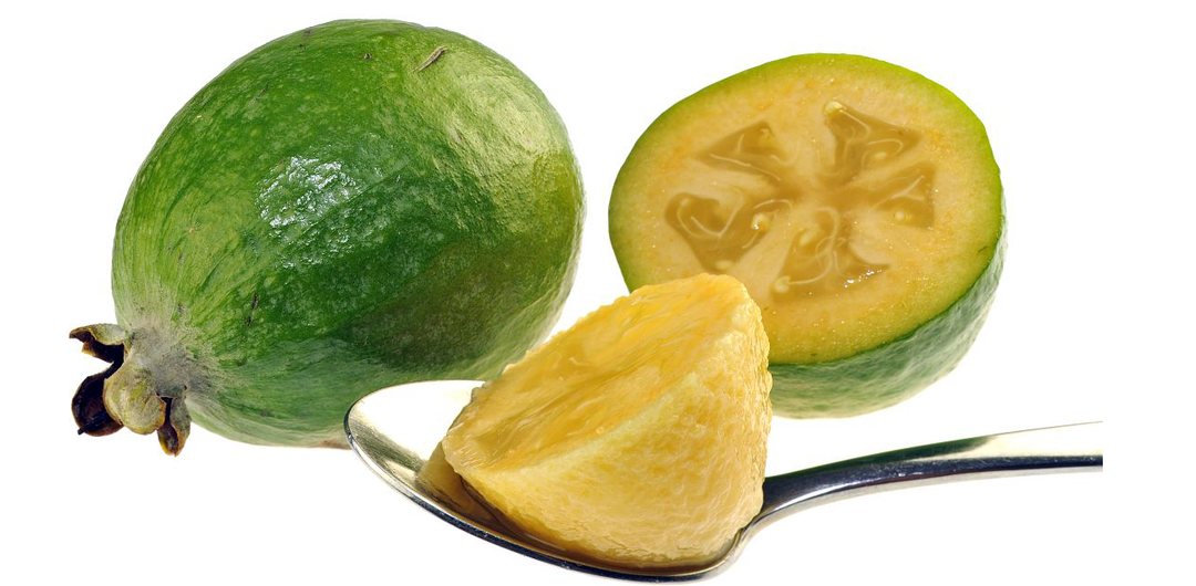 Feijoa: good and bad