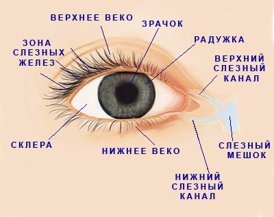 Symptoms of dry eye syndrome