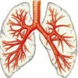 Prachová bronchitida: příznaky, léčba