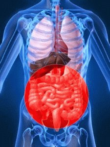 Disbacteriose crônica