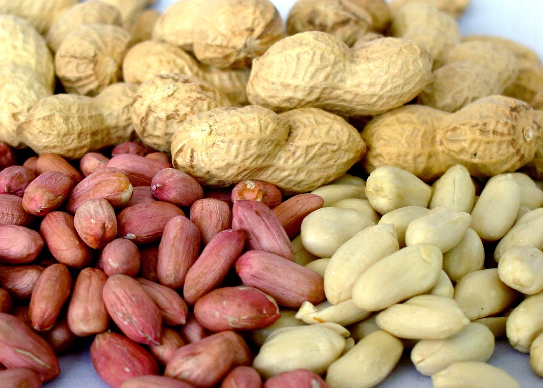 Peanuts: les avantages et les inconvénients