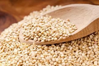 Quinoa: de voor- en nadelen van de rijst quinoa