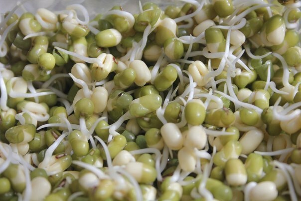 Useful properties of peas