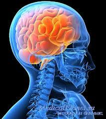 Klassificering, tegn og terapi af dismetabolisk encefalopati