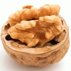 Okkernoot