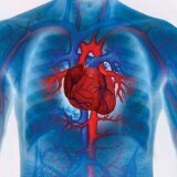 Causas e tipos de arritmia cardíaca