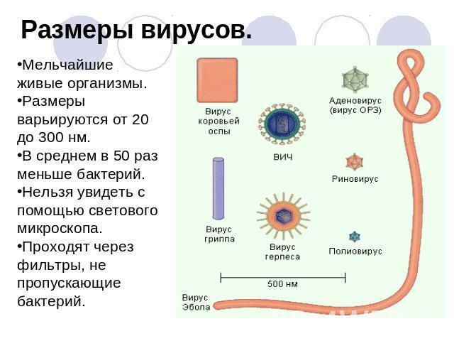 Het werkingsmechanisme van antivirale geneesmiddelen