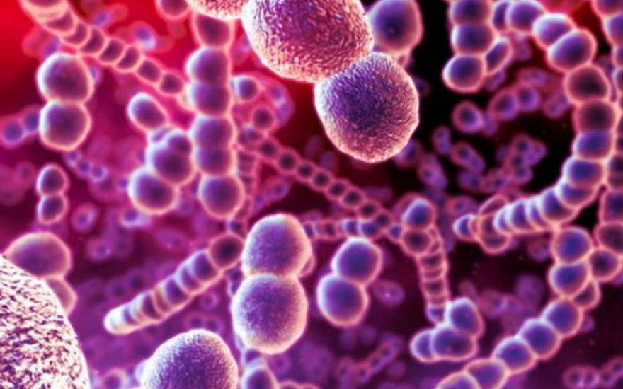 Streptococcus en infectieziekten