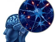 Neurodegeneracyjne choroby mózgu