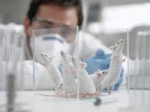 Testes de Mouse