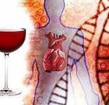 Alkoholická kardiomyopatia: liečba
