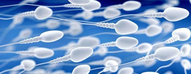Rekomendasi untuk meningkatkan spermatogenesis