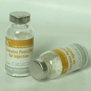Droga penicilina