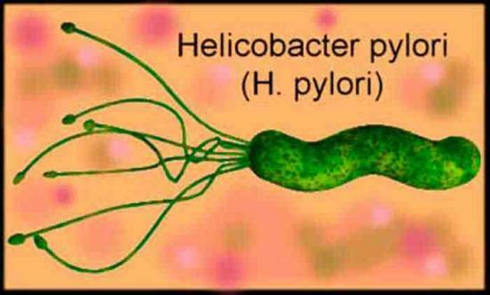 Tablety z Helicobacter pylori