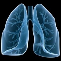 Zubereitungen und Zubereitungen zur Lungenreinigung