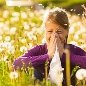 Enn å behandle allergisk rhinitt?