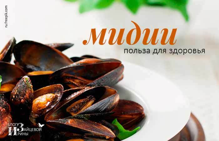 Mussels pour les hommes: quelles sont les propriétés utiles