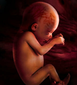 35 Woche Schwangerschaftsfoto