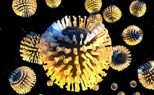 Rotavirus-Infektion unter einem Mikroskop