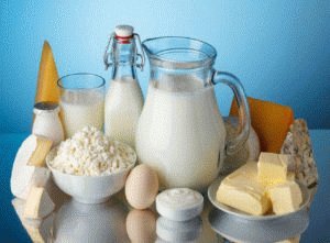 Zuivelproducten kunnen in het menu worden opgenomen