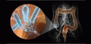 Desequilíbrio nos intestinos