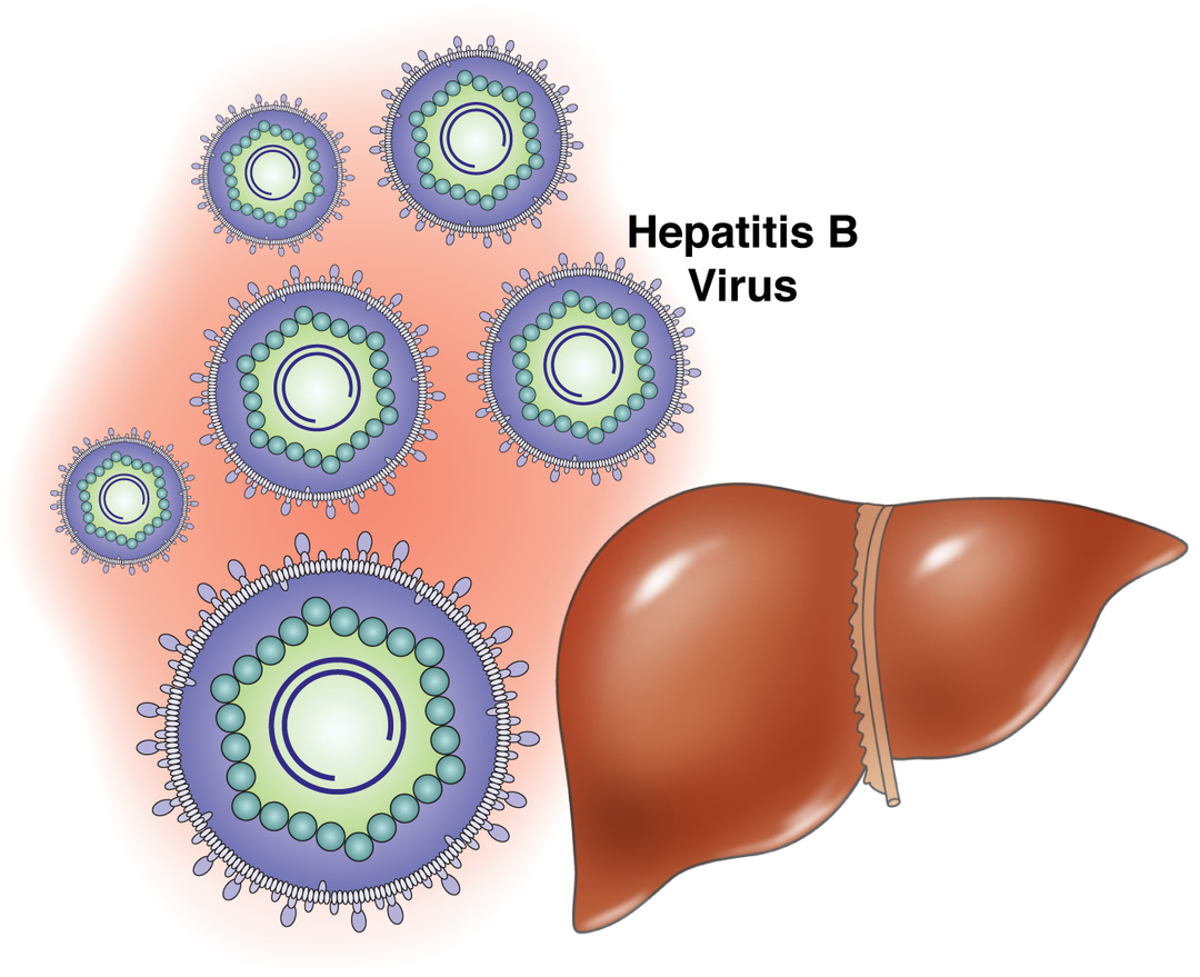 Virale hepatitis B en C: symptomen, oorzaken, behandeling