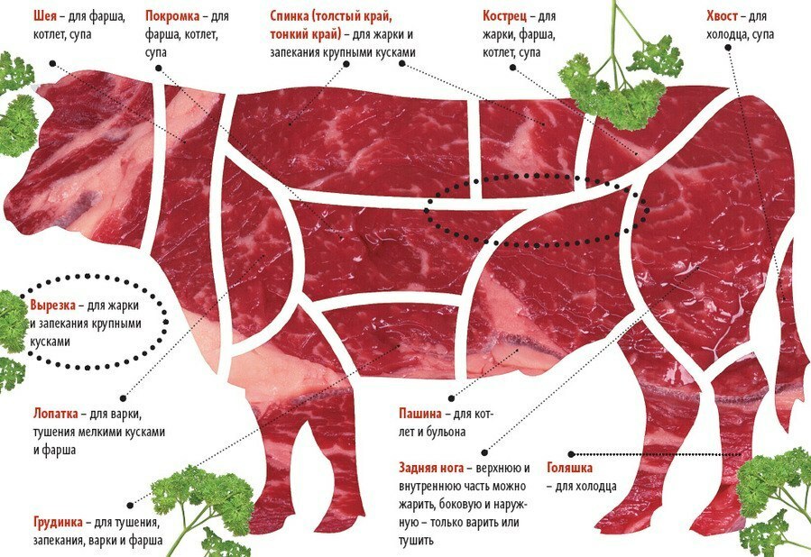 Kalfsvlees: voor- en nadelen