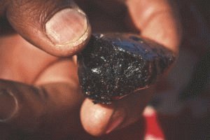 Shilajit terapija