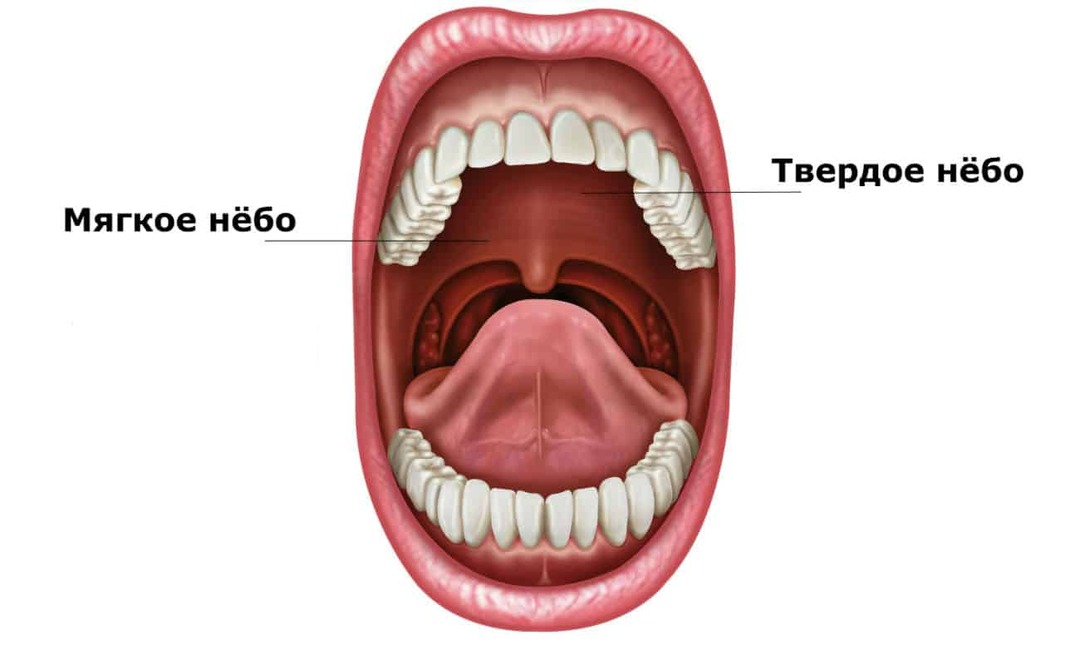 Hur man behandlar inflammation i himlen - Dina tänder